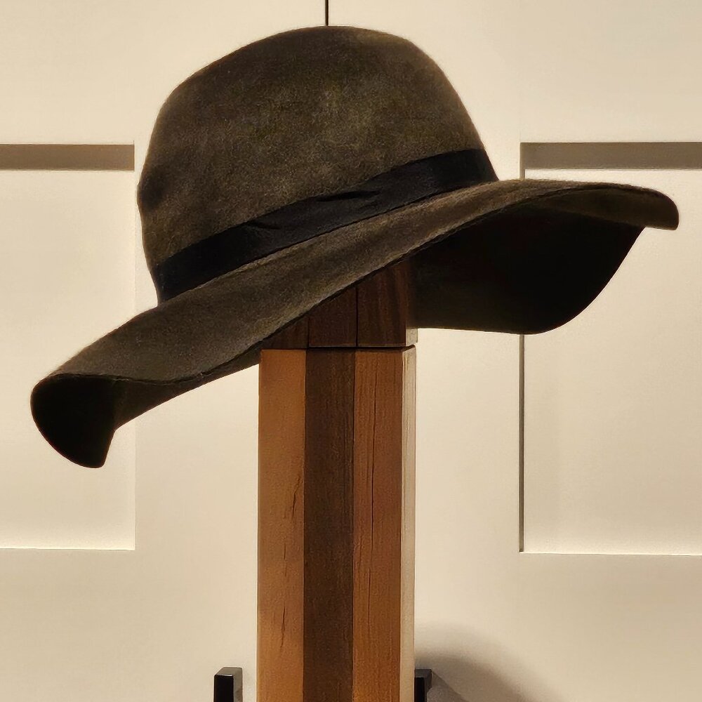 Brown Felt Wide Brim Hat
